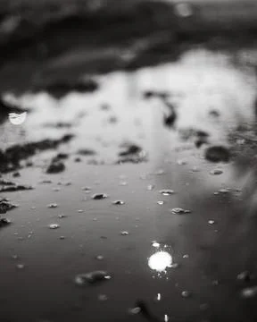 Monochrome close-up of puddle reflections capturing abstract shapes and lig.. 写真素材