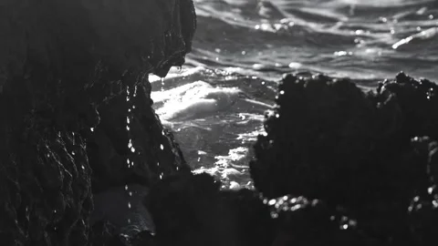 Monochrome close up of water dripping from dark coastal rocks Stock Footage 337409474