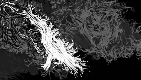 Monochrome dance of light and shadow 스톡 동영상 314615857