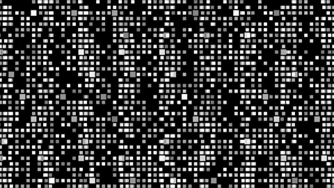 Monochrome digital information flow with flickering pixel noise 4K Stockbeeldmateriaal 332653759