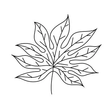 Monochrome drawing of a maple leaf on white background Illustrazione stock
