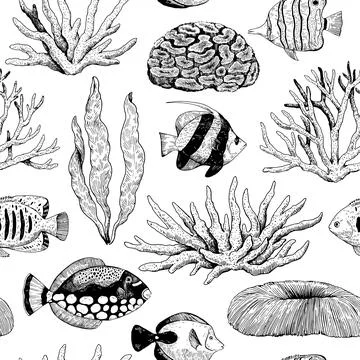 Monochrome elegant seamless pattern with corals, tropical fish and seaweeds.. Illustrazione stock
