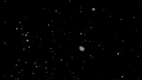 Monochrome falling snow effect, winter weather, cinematic particle background Stock Footage 337702482