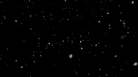 Monochrome falling snow, winter atmospheric particles, seasonal motion back.. Stock Footage 337702640