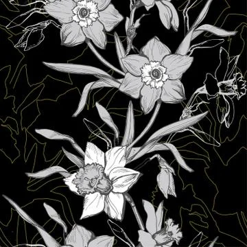 Monochrome floral vertical seamless pattern with hand drawn flowers daffodils Stock Illustration