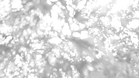 Monochrome foliage background Vídeo Stock 150967690