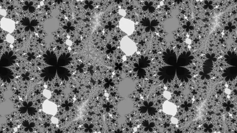 Monochrome Fractal Movement Dynamic Loop Stock Footage 242832133