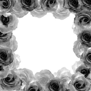 Monochrome frame Stock Photos