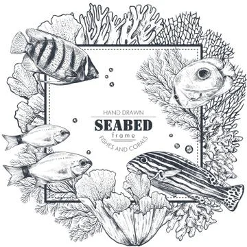 Monochrome frame with space for text and hand drawn underwater natural elements Illustrazione stock