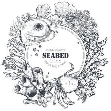 Monochrome frame with space for text and hand drawn underwater natural elements Stock Illustration