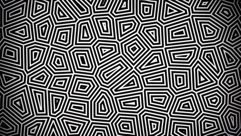 Monochrome Geometric Motion Background Seamless Loop Abstract Pattern Stock Footage 346219057