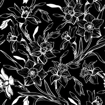 Monochrome graphic seamless pattern with hand drawn flowers daffodils. Stock Illustration