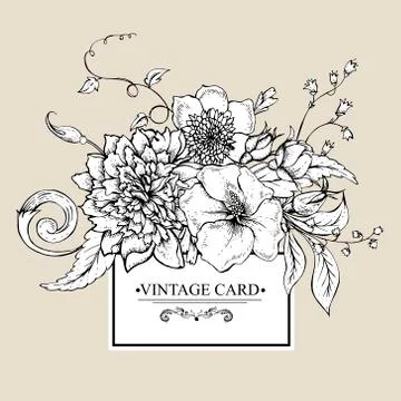 Monochrome greeting card with blooming peony Stock-Illustration