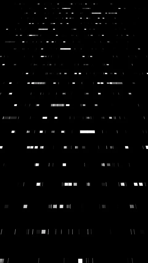 Monochrome Grid Glitch Stock Footage 311591142