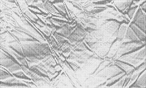 Monochrome halftone texture with abstract leaf veins pattern for contempora.. Stock Illustration