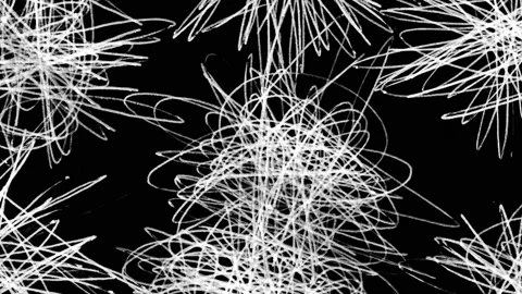 Monochrome Hand Drawing Lines	 Stock Footage 147222106