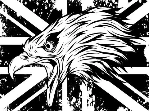 Monochrome head eagle on england flag vector illustration Stock Illustration