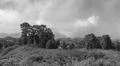 Monochrome heavenly clouds and thick fog on fertile mountain landscape Photo