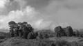 Monochrome heavenly clouds and thick fog on fertile mountain landscape Photo