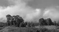 Monochrome heavenly clouds and thick fog on fertile mountain landscape Photo