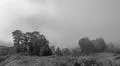 Monochrome heavenly clouds and thick fog on fertile mountain landscape Photo