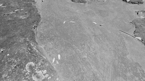 Monochrome high angle view captures a flat sandy dirt ground path textured .. Stock Photos