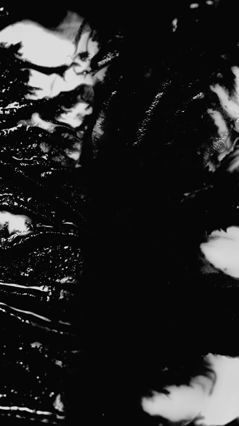 Monochrome ink flow with dramatic texture Stock Footage 345000674