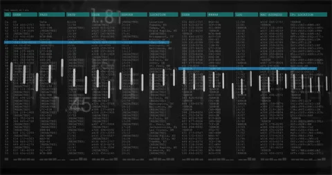 Monochrome interface being animated with network log table overlaid audio Stock Footage 308658439