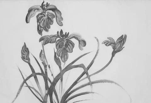Monochrome iris flowers Stock Illustration