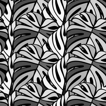 Monochrome jungle seamless pattern. Exotic plant. Tropical palm leaves floral Stock Illustration