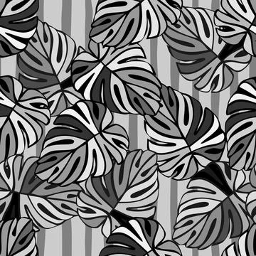 Monochrome jungle seamless pattern. Exotic plant. Tropical palm leaves floral 스톡 일러스트
