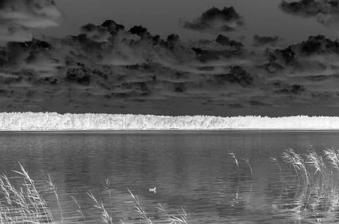 Monochrome lake landscape with dramatic clouds Foto stock