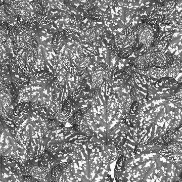 Monochrome leaves collage random pattern Stock Photos