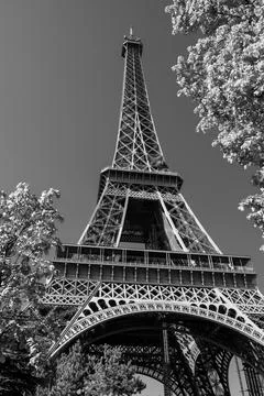 Monochrome, low-angle and vertical shot of the Eiffel tower in Paris Stock-Fotos