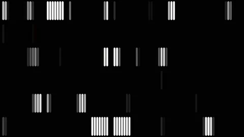 Monochrome movement Stock Footage 224356574