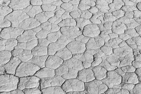 Monochrome mud texture of drying prism desiccation cracks in soil. Stock Photos