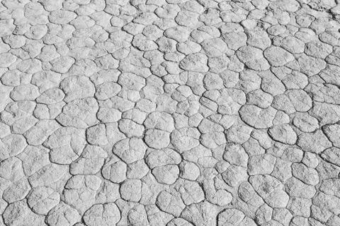Monochrome mud texture of drying prism desiccation cracks in soil. Foto stock
