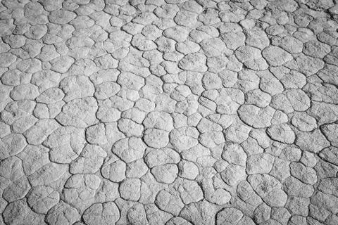 Monochrome mud texture of drying prism desiccation cracks in soil. Stock Photos