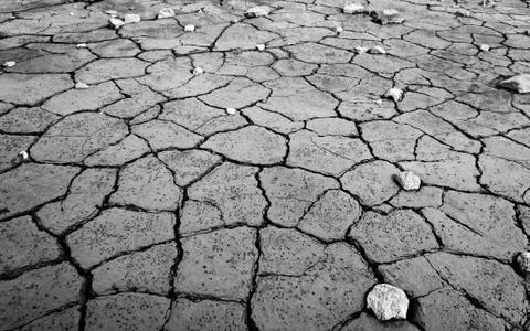Monochrome mud texture of drying prism desiccation cracks in soil. Stock Photos