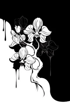 Monochrome orchid Stock Illustration