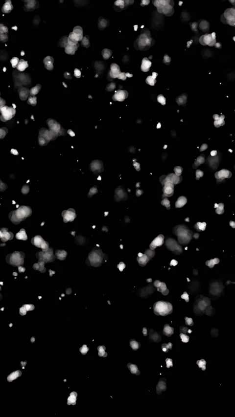Monochrome Particle Stock Footage 311670823