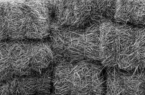 Monochrome pattern rustic background gray blocks hay dry grass light billet b Stock Photos