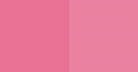 millennial pink Color Palette