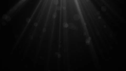 Monochrome Rays of Light Video stock 280654229