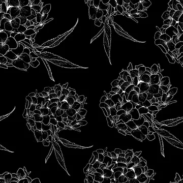 Monochrome Seamless Background with Hydrangea Stock Illustration