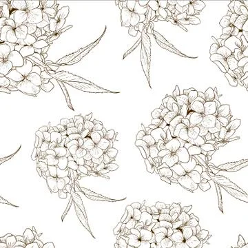 Monochrome Seamless Background with Hydrangea Stock Illustration