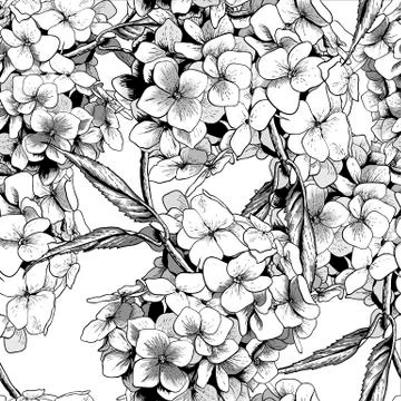 Monochrome Seamless Background with Hydrangea Stock Illustration