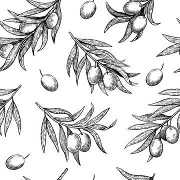 Monochrome seamless pattern of olive branches in engraving style. Hand-draw.. Stock Illustration