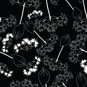 Monochrome seamless pattern with spice flower and twig outline Stock Illustration