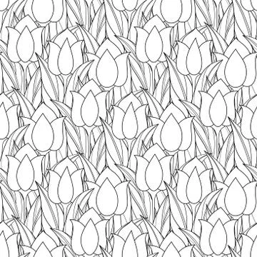 Monochrome Seamless Pattern with Tulips Illustrazione stock